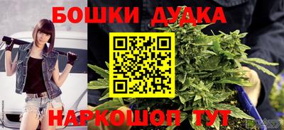 дживик Лесосибирск