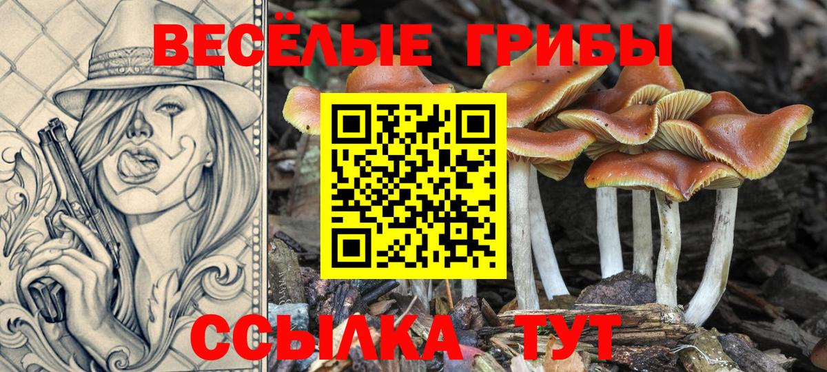 Псилоцибиновые грибы Psilocybine cubensis  Псилоцибиновые грибы GOLDEN TEACHER  Кизилюрт  Вход с VPN 